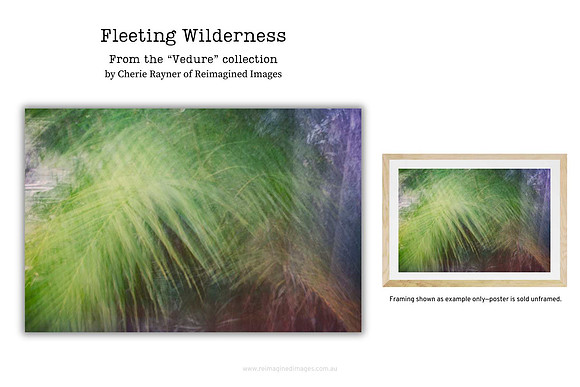 Fleeting Wilderness - Art Prints for sale, Designed By Reimagined Images