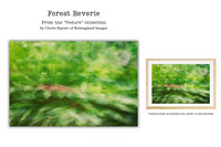 Forest Reverie - Art Prints for sale, Designed By Reimagined Images
