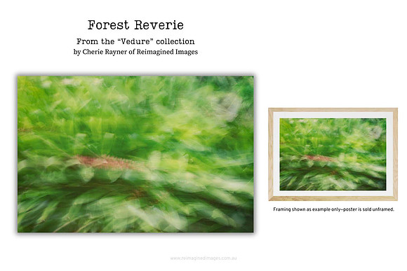 Forest Reverie - Art Prints for sale, Designed By Reimagined Images
