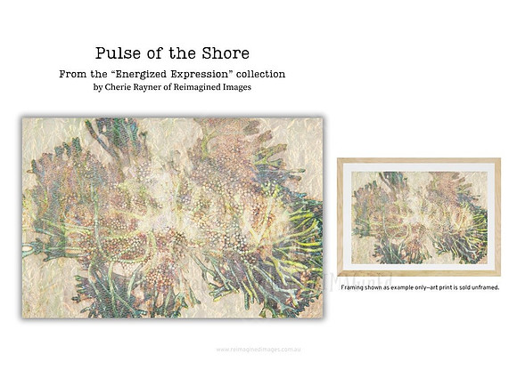 Pulse of the Shore  by Cherie Rayner