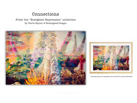 Connections