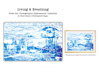 Living & Breathing - Art For Sale - Reimagined Images