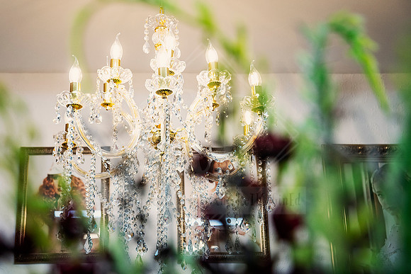 Chandelier light glowing through out-of-focus greenery in foreground.