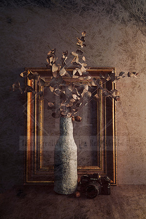 Mixed Form 2 - Get Framed Series