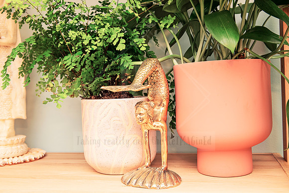 Eclectic decor setup with coral, plants, and a pink statement pot.