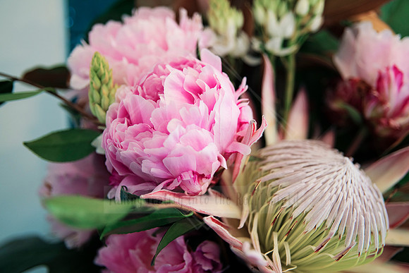 Close-up of pink proteas and peonies in soft natural light against blurred greenery.