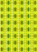 Fresh Growth lrg bead