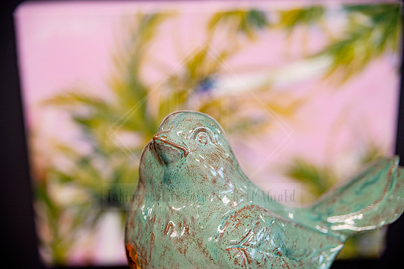 Close-up of a glazed ceramic bird sculpture with blurred leafy background.