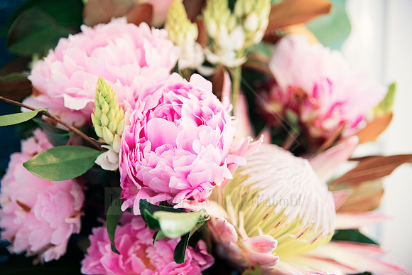 Close-up of pink peonies and protea in a lush floral bouquet.