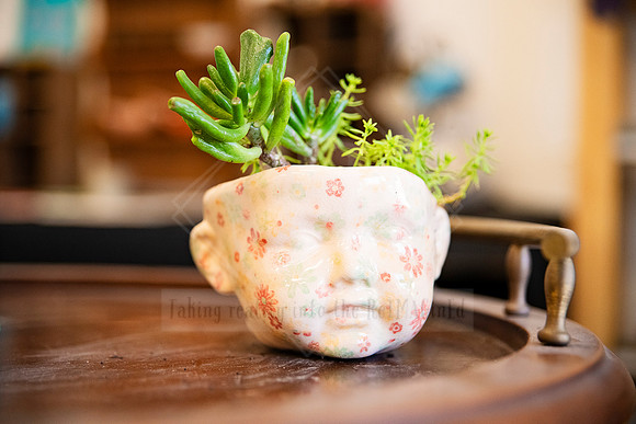 Head-shaped ceramic pot repurposed as a succulent planter, detailed product-style photo for Artwalk media.