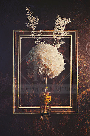 Grungy Gin - Get Framed Series