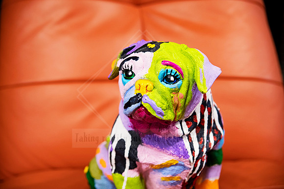 Vibrant patchwork dog sculpture with expressive eyes, styled and captured at Sunset Framing & Gallery.