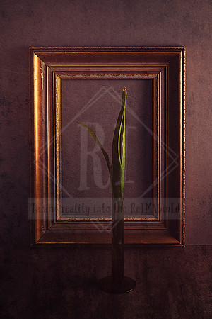 Solo - Get Framed Series