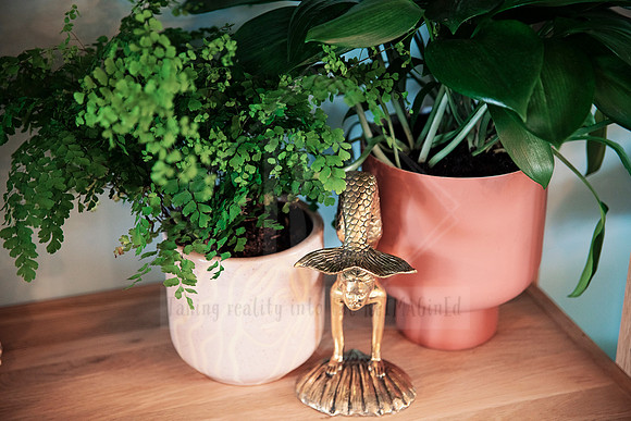 Indoor greenery styled in terracotta and cream pots with a golden bird sculpture on wooden bench.